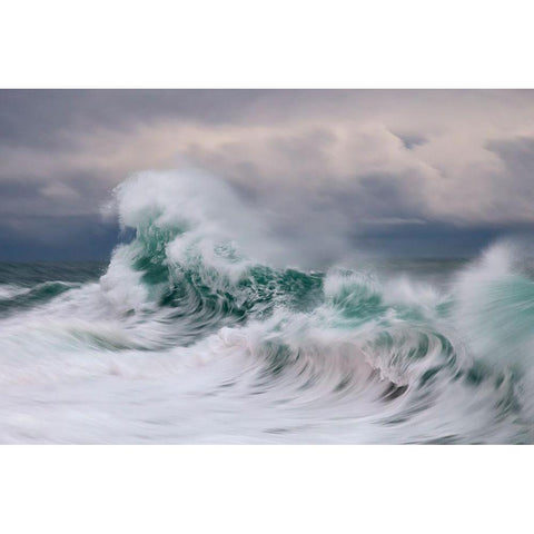 Wave Black Modern Wood Framed Art Print with Double Matting by Bolla, Paolo