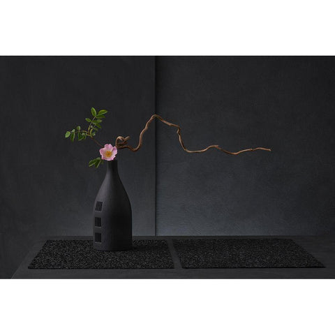 Rosa Canina Black Modern Wood Framed Art Print by Verot, Christophe