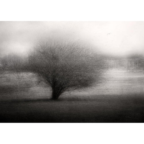 On The Meadow Black Modern Wood Framed Art Print with Double Matting by Holmstrom, Katarina