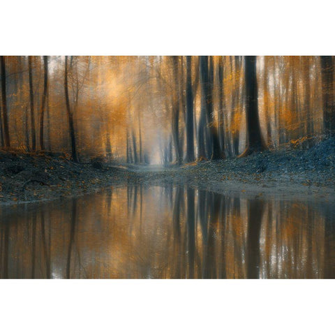 The Woods Black Modern Wood Framed Art Print with Double Matting by Z, Bingo