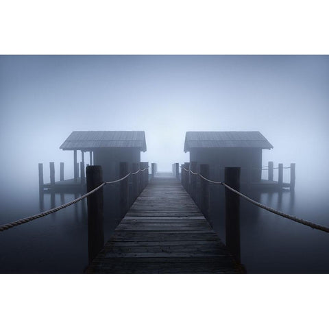 Alone In The Fog Black Modern Wood Framed Art Print with Double Matting by Zappia, Andrea