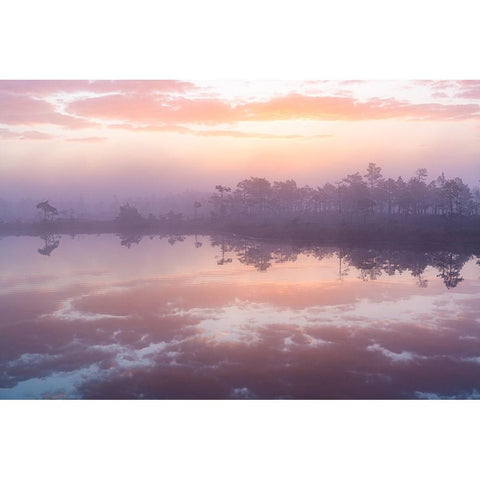 Pink Morning Gold Ornate Wood Framed Art Print with Double Matting by Zilbalodis, Eriks