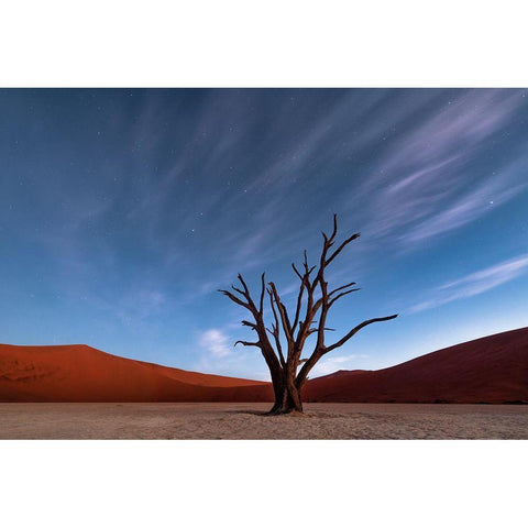 Deadvlei At Dusk Gold Ornate Wood Framed Art Print with Double Matting by Ruoppolo, Luigi