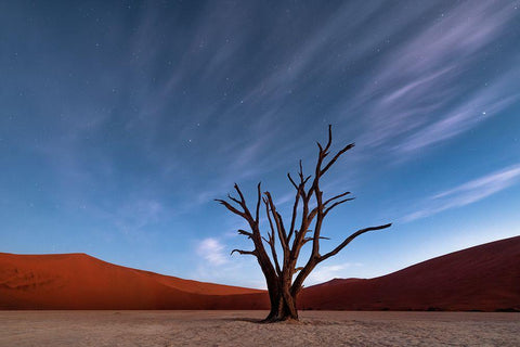 Deadvlei At Dusk White Modern Wood Framed Art Print with Double Matting by Ruoppolo, Luigi