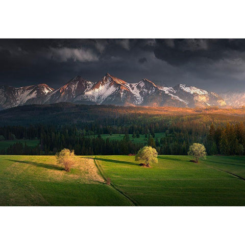 After Storm Black Modern Wood Framed Art Print by Nienartowicz, Karol