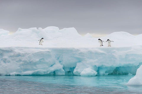 The Stage Black Ornate Wood Framed Art Print with Double Matting by Manuel Cruz, Jose