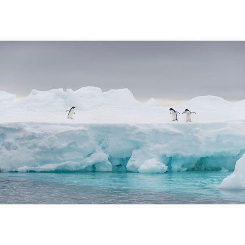 The Stage Black Modern Wood Framed Art Print by Manuel Cruz, Jose