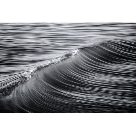 Liquid Black Modern Wood Framed Art Print with Double Matting by Palmerini, Fabio