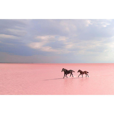 Pink Salt Lake White Modern Wood Framed Art Print by Uzumcu, Suleyman