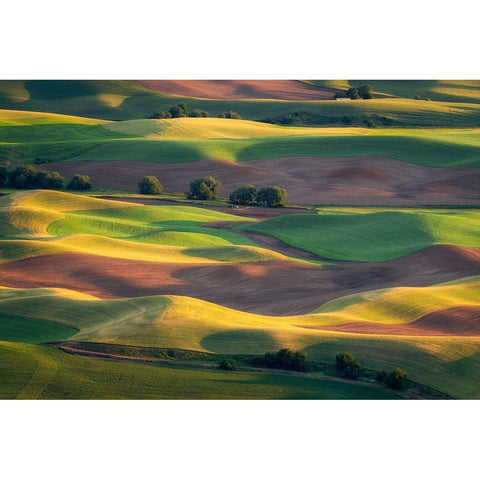 Colorful Palouse White Modern Wood Framed Art Print by Macua, Gerald