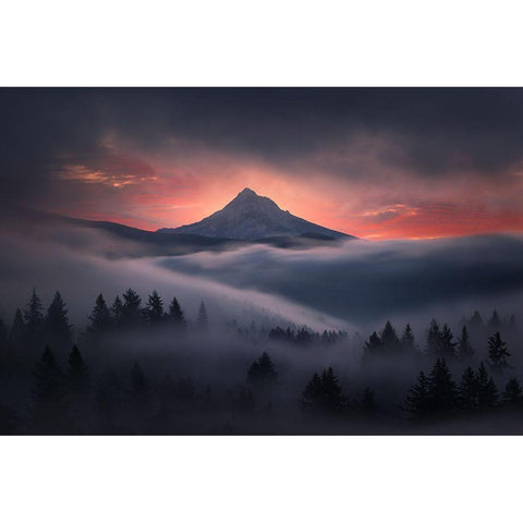 Through The Window Black Modern Wood Framed Art Print with Double Matting by Morgan, Miles