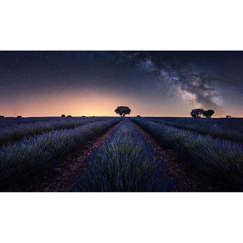 Lavender Fields Gold Ornate Wood Framed Art Print with Double Matting by Ruiz Dueso, Jorge