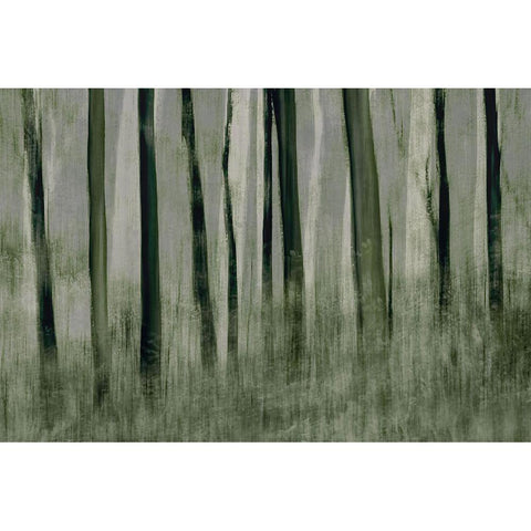 Trees In Motion White Modern Wood Framed Art Print by Talen, Nel