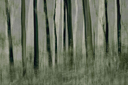 Image Only