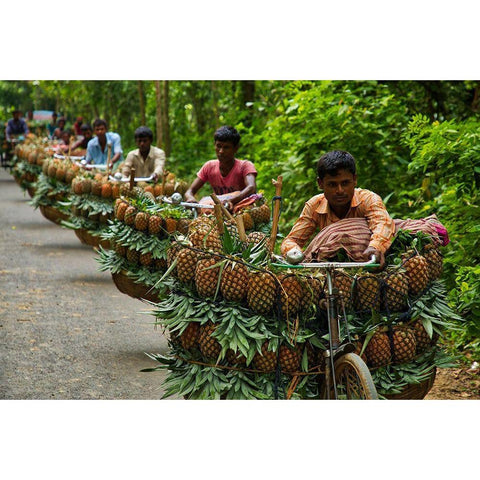 Transporting Pineapples Black Modern Wood Framed Art Print with Double Matting by Khan Ronnie, Azim