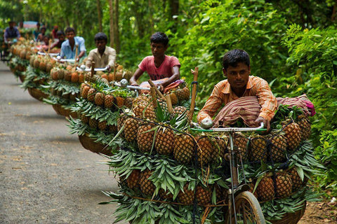 Transporting Pineapples Black Ornate Wood Framed Art Print with Double Matting by Khan Ronnie, Azim