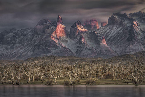 Below The Peaks Of Patagonia Black Ornate Wood Framed Art Print with Double Matting by Svoboda Mqep, Peter
