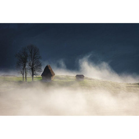 Magic Mornings Gold Ornate Wood Framed Art Print with Double Matting by Ioan Ovidiu, Lazar