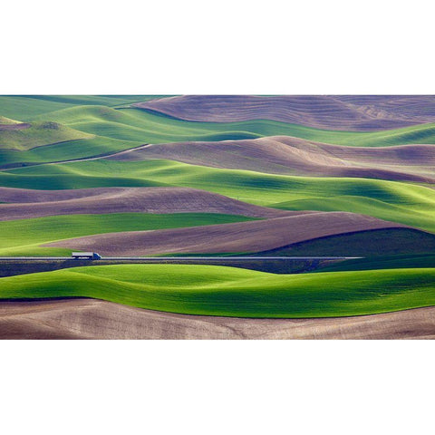 Driving In The Wheat Field At Palouse Gold Ornate Wood Framed Art Print with Double Matting by Gao, Danny