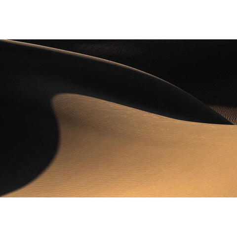 The Desert Ii White Modern Wood Framed Art Print by Jamshidian, Hamid