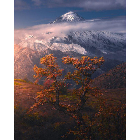 Autumnal Theme In Alborz Mountains White Modern Wood Framed Art Print by Behzad, Majid