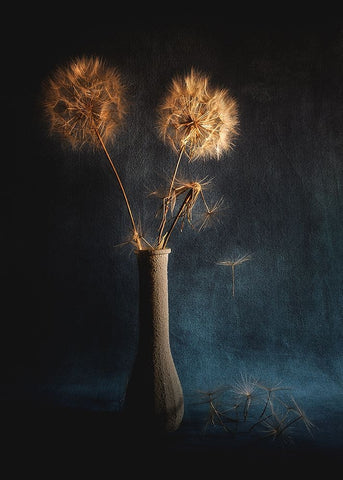 Untitled Black Ornate Wood Framed Art Print with Double Matting by Grambone, Antonio