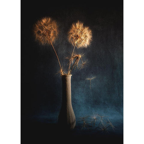 Untitled Black Modern Wood Framed Art Print by Grambone, Antonio