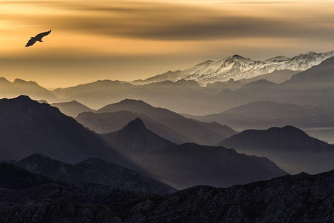 Layers Black Ornate Wood Framed Art Print with Double Matting by I. Cuadrado, Juan