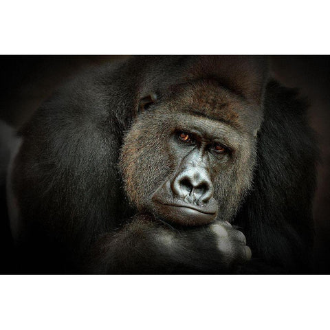 Peaceful Giant Gold Ornate Wood Framed Art Print with Double Matting by Wenner-Braun, Antje