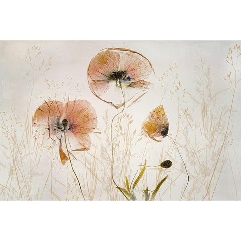 Light And Soft Gold Ornate Wood Framed Art Print with Double Matting by Talen, Nel