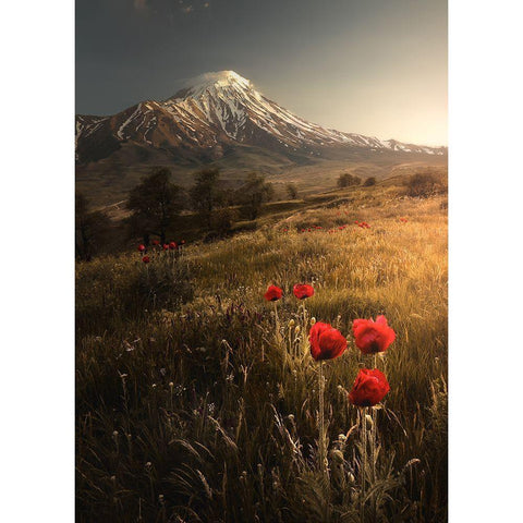 Life Is Beautiful White Modern Wood Framed Art Print by Behzad, Majid