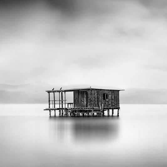 Image Only