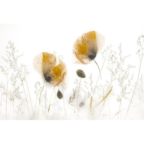 Subtle... Black Modern Wood Framed Art Print by Talen, Nel