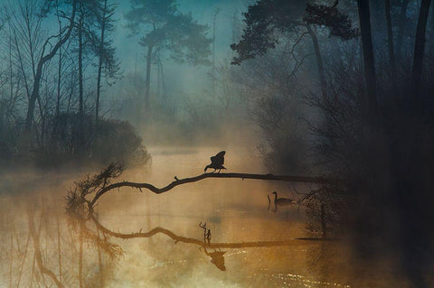 Blue Hour White Modern Wood Framed Art Print with Double Matting by Van Dongen, Anton