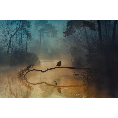 Blue Hour Black Modern Wood Framed Art Print with Double Matting by Van Dongen, Anton