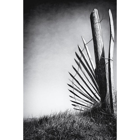 No (Of)Fence In The Dunes White Modern Wood Framed Art Print by Flour, Bruno