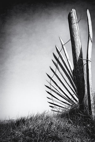 No (Of)Fence In The Dunes White Modern Wood Framed Art Print with Double Matting by Flour, Bruno