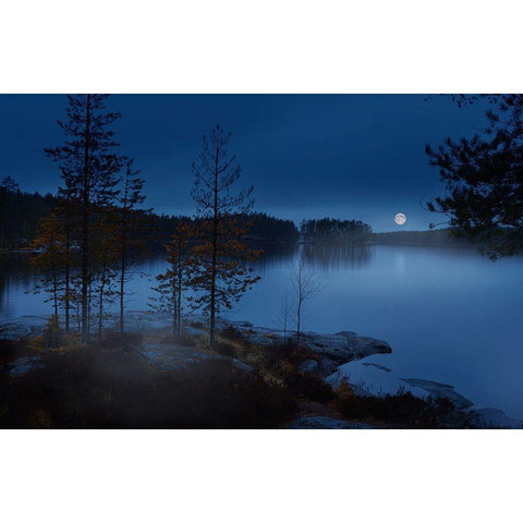 Night Mist Black Modern Wood Framed Art Print with Double Matting by Georgieva V, Nikki