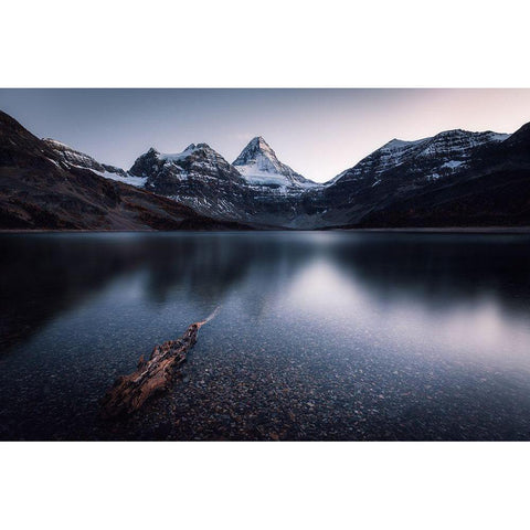 Dusk Black Modern Wood Framed Art Print with Double Matting by Ma, Jason