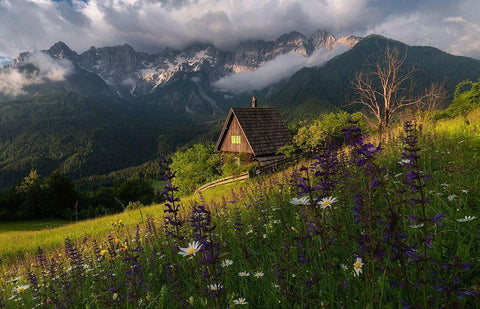 On The Meadows Black Ornate Wood Framed Art Print with Double Matting by Krivec, Ales