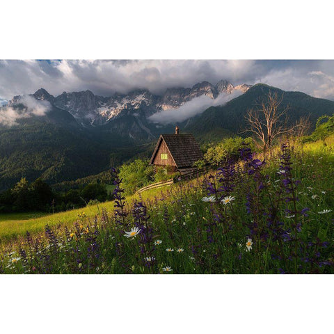 On The Meadows White Modern Wood Framed Art Print by Krivec, Ales