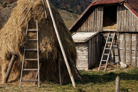 Rural White Modern Wood Framed Art Print with Double Matting by Jo, Madeline