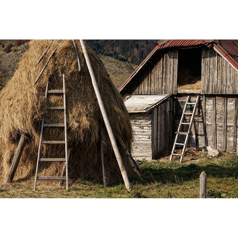 Rural Black Modern Wood Framed Art Print with Double Matting by Jo, Madeline