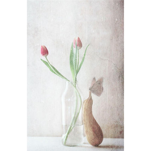 The Pitter-Patter Of The Rain White Modern Wood Framed Art Print by Devos, Delphine