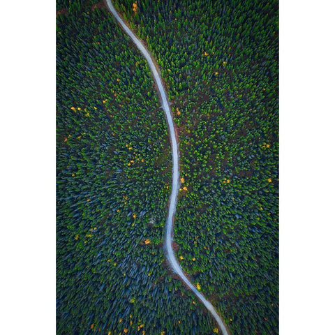 Silent Creek Gold Ornate Wood Framed Art Print with Double Matting by Zheng, Michael