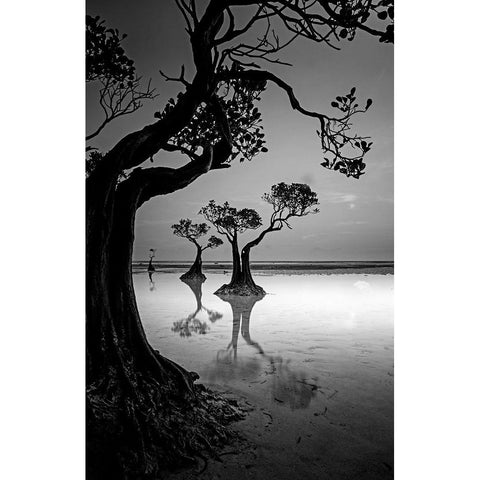 Framing Black Modern Wood Framed Art Print with Double Matting by Muliani Hartojo, Angela