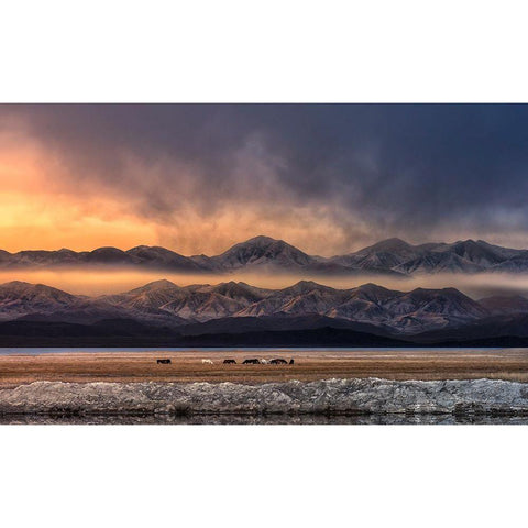 Qinghai (EÂ?Aemm) White Modern Wood Framed Art Print by Deng, Larry