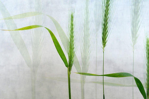 Wavy Green White Modern Wood Framed Art Print with Double Matting by Van Son, Greetje