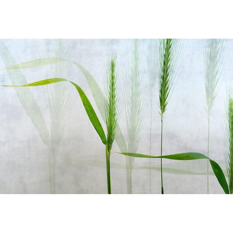 Wavy Green Black Modern Wood Framed Art Print with Double Matting by Van Son, Greetje