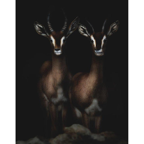 Siblings Black Modern Wood Framed Art Print with Double Matting by Ali Bkr, Ranoosh